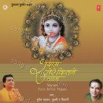 Shyam Tere Kitne Naam - Mahesh Prabhakar Song Download
